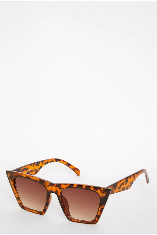 Brown Retro Tortoiseshell Sunglasses