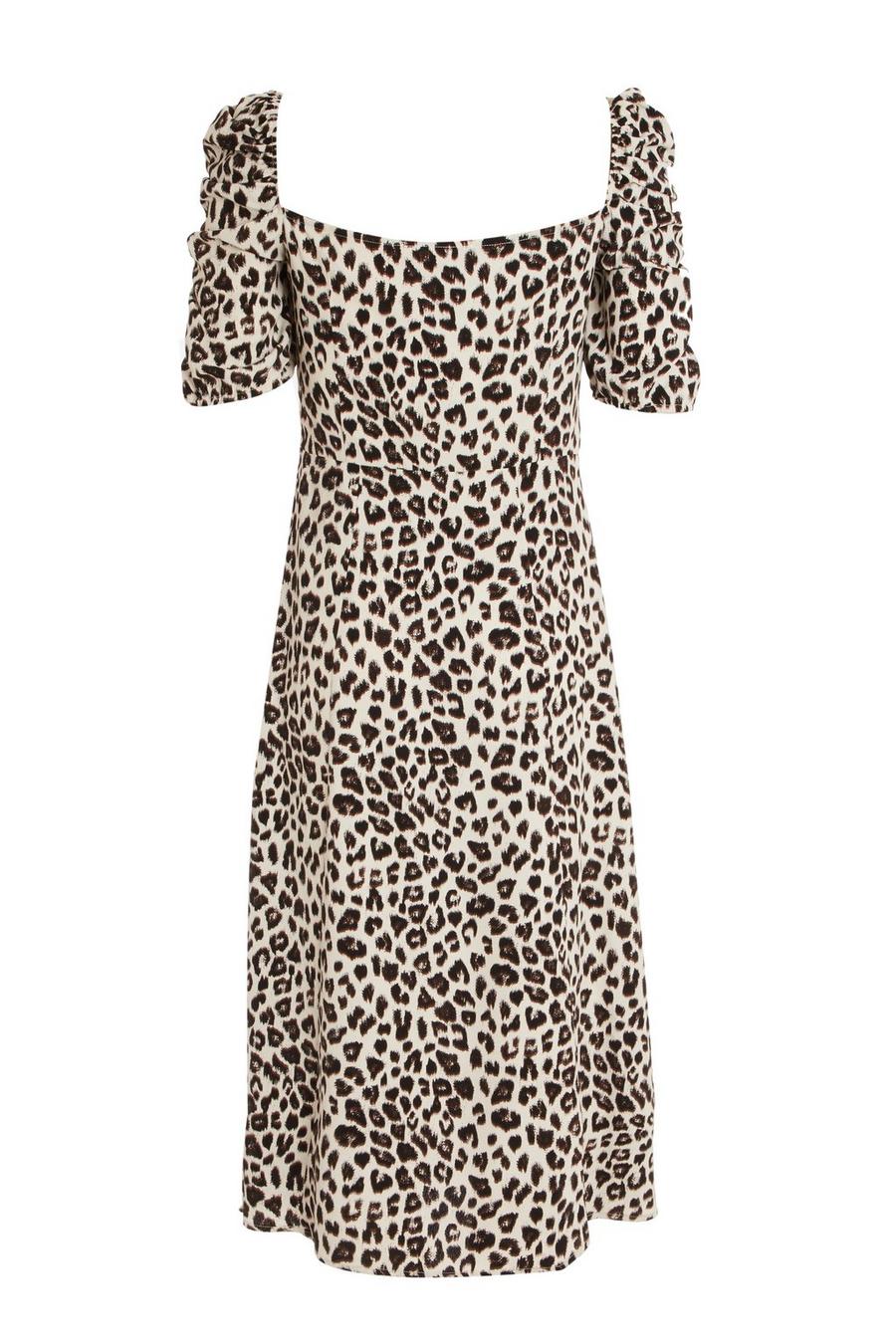 Animal print hotsell dress quiz