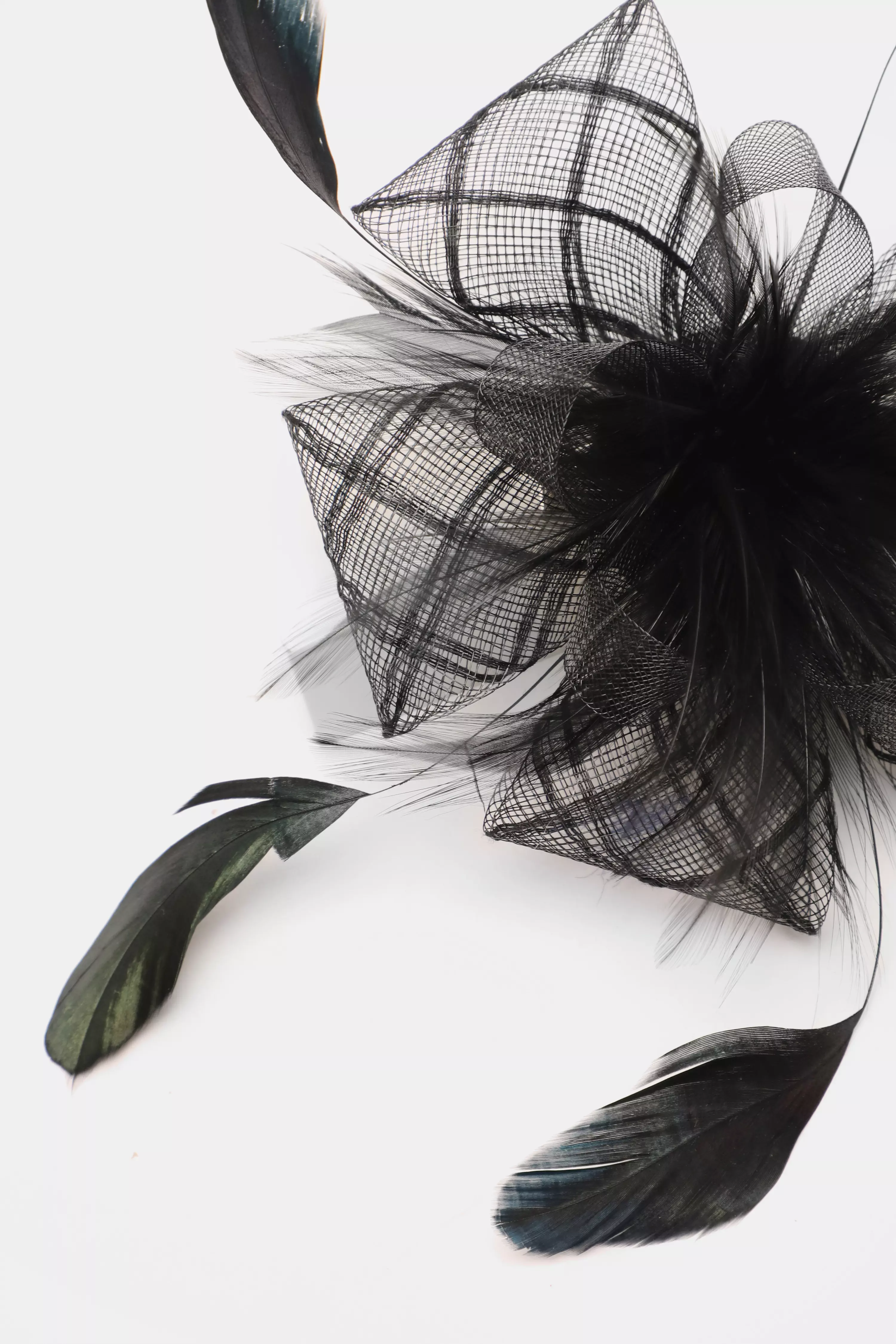 Black Feather Clip Fascinator QUIZ Clothing